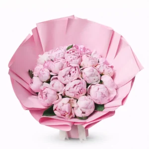 Pink peonies bouquet wrapped in soft pastel paper